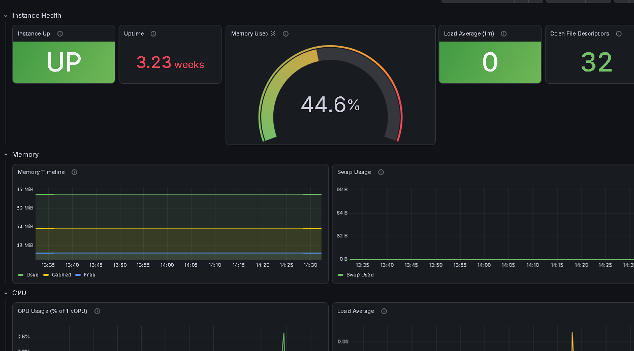 Instance health — uptime, memory and CPU